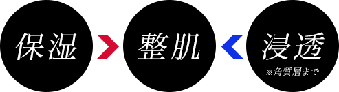保湿 整肌 浸透